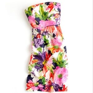 ⭐️PM EDITOR PICK⭐️J. Crew Ella dress